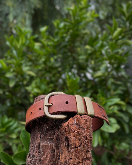 Brown leather dog collar with a gold buckle on a wooden post against a blurred green foliage background