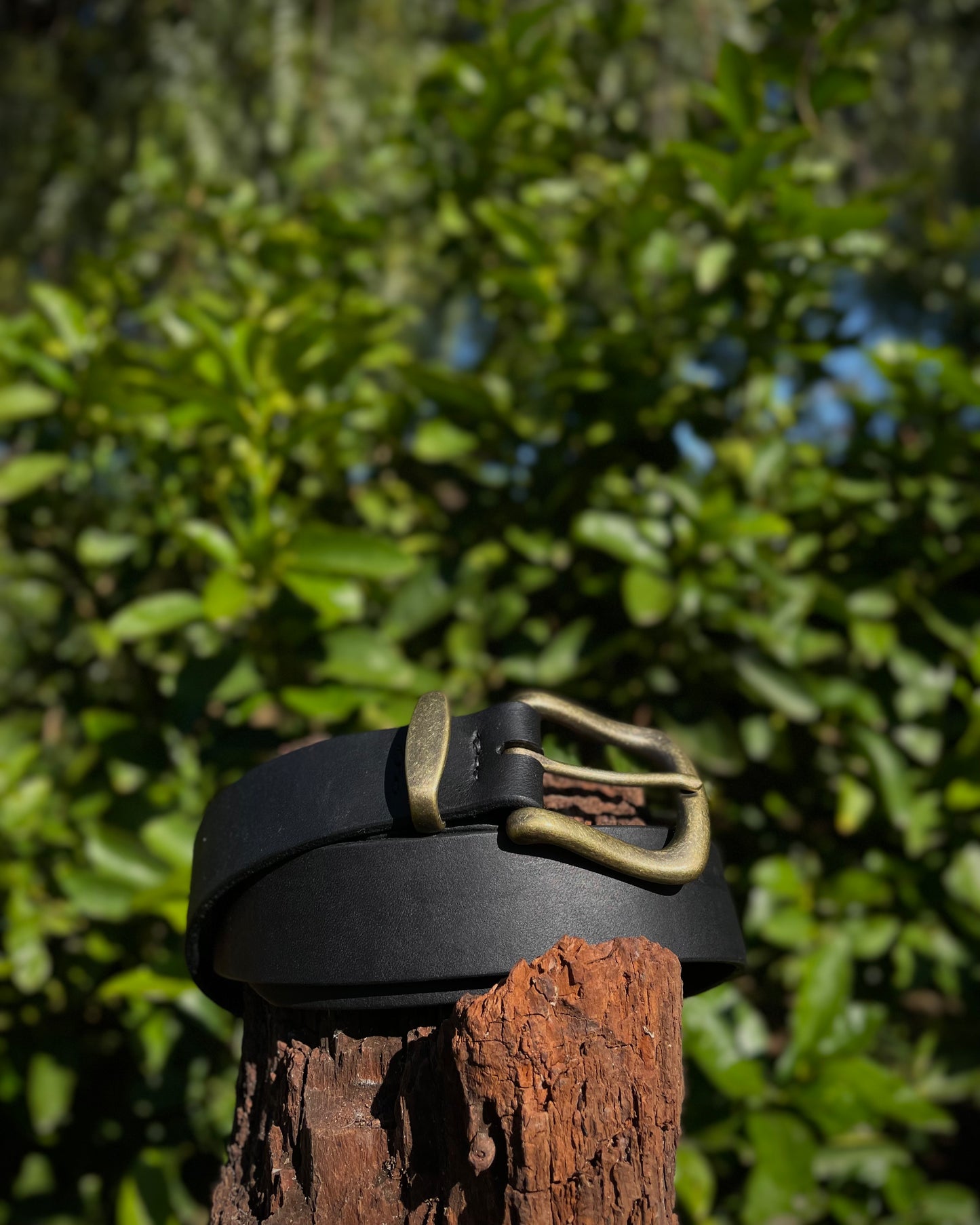 Black leather belt with brass buckle on a wooden post against a green leafy background