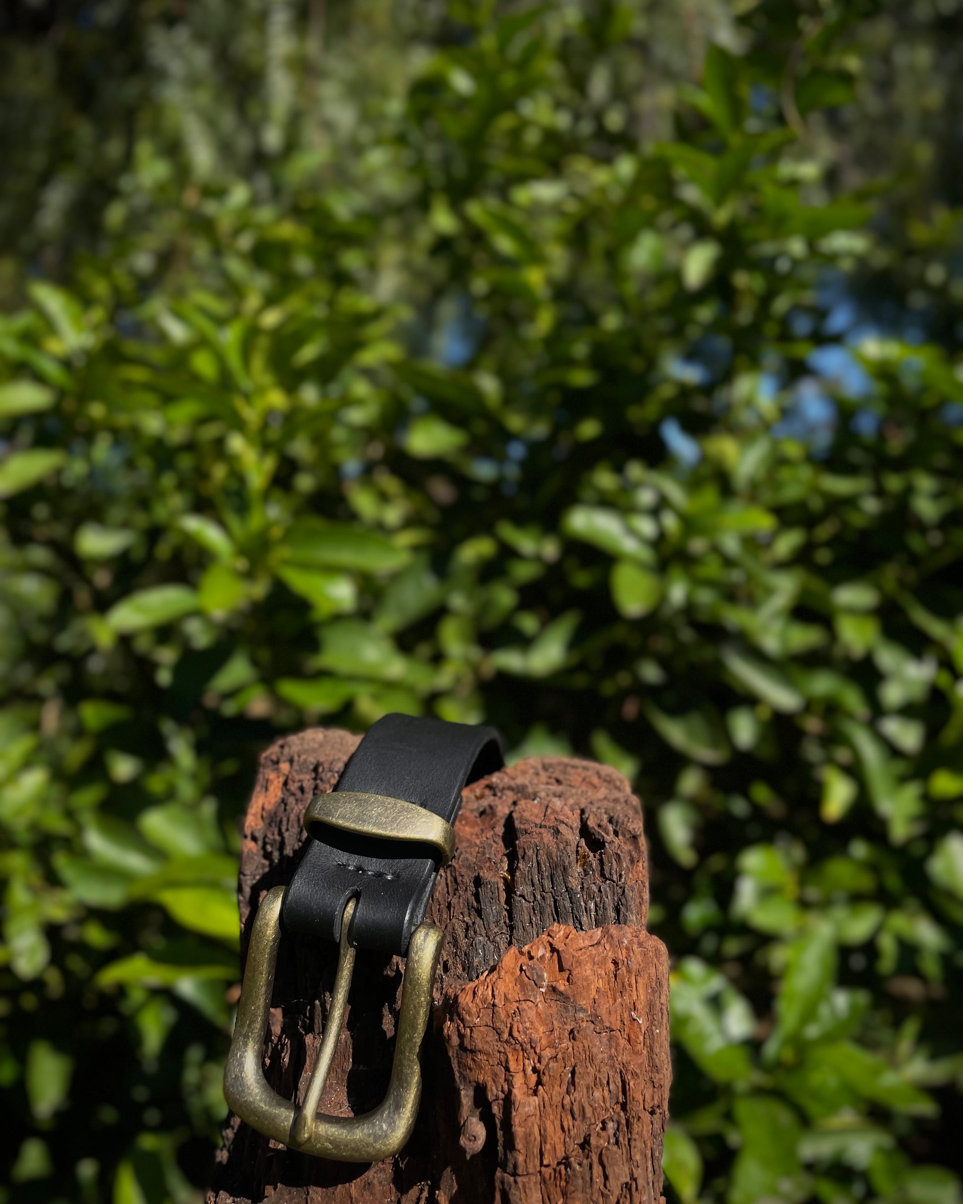 Black leather belt with brass buckle on a wooden post against a blurred green foliage background