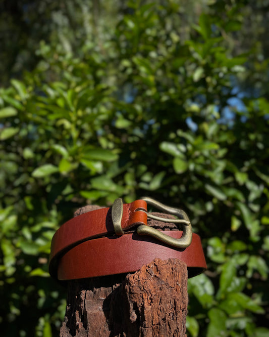 Brown leather belt with brass buckle on a wooden post against a blurred green foliage background