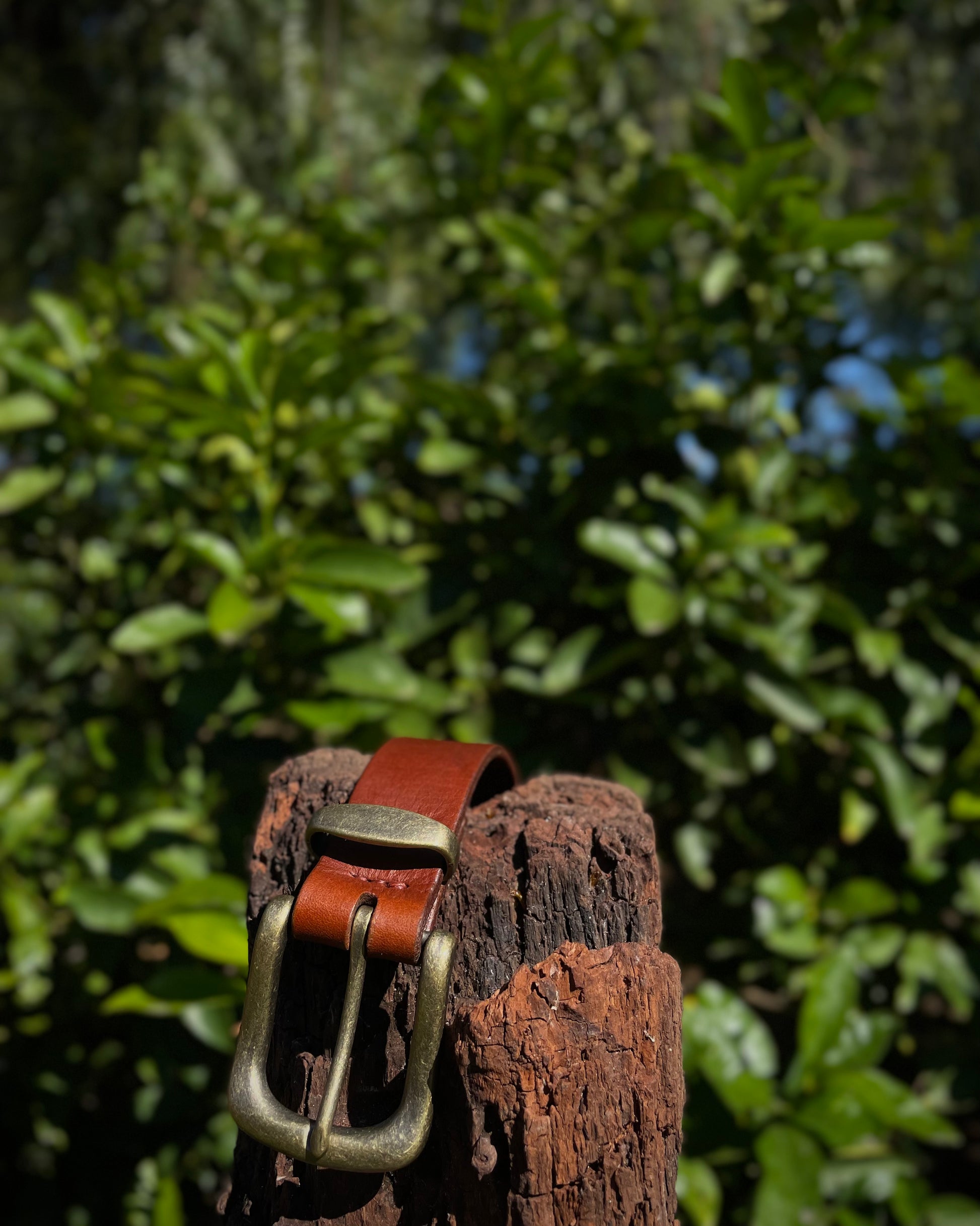 Brown leather belt with brass buckle on a wooden post against a blurred green foliage background