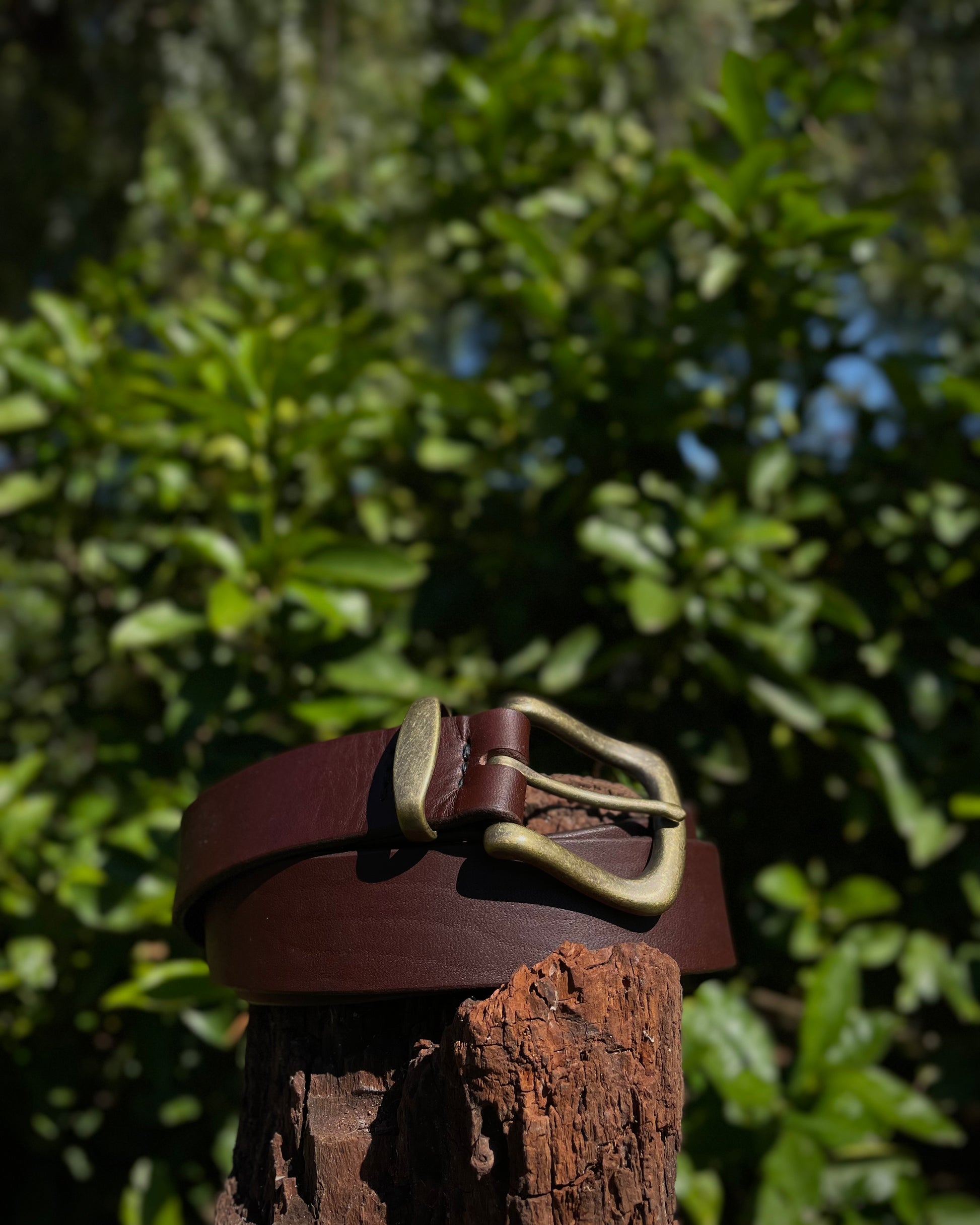 Brown leather belt with brass buckle on a wooden post against a green leafy background