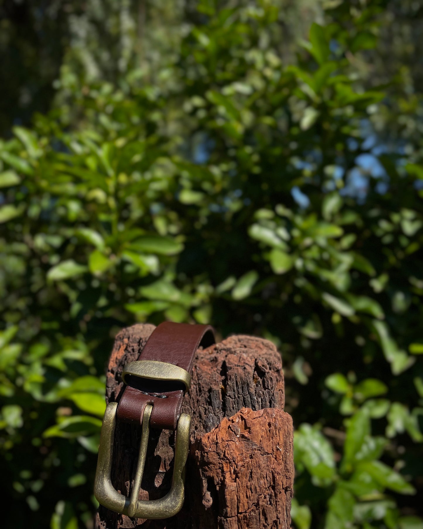 Brown leather belt with brass buckle on a wooden post against a green leafy background