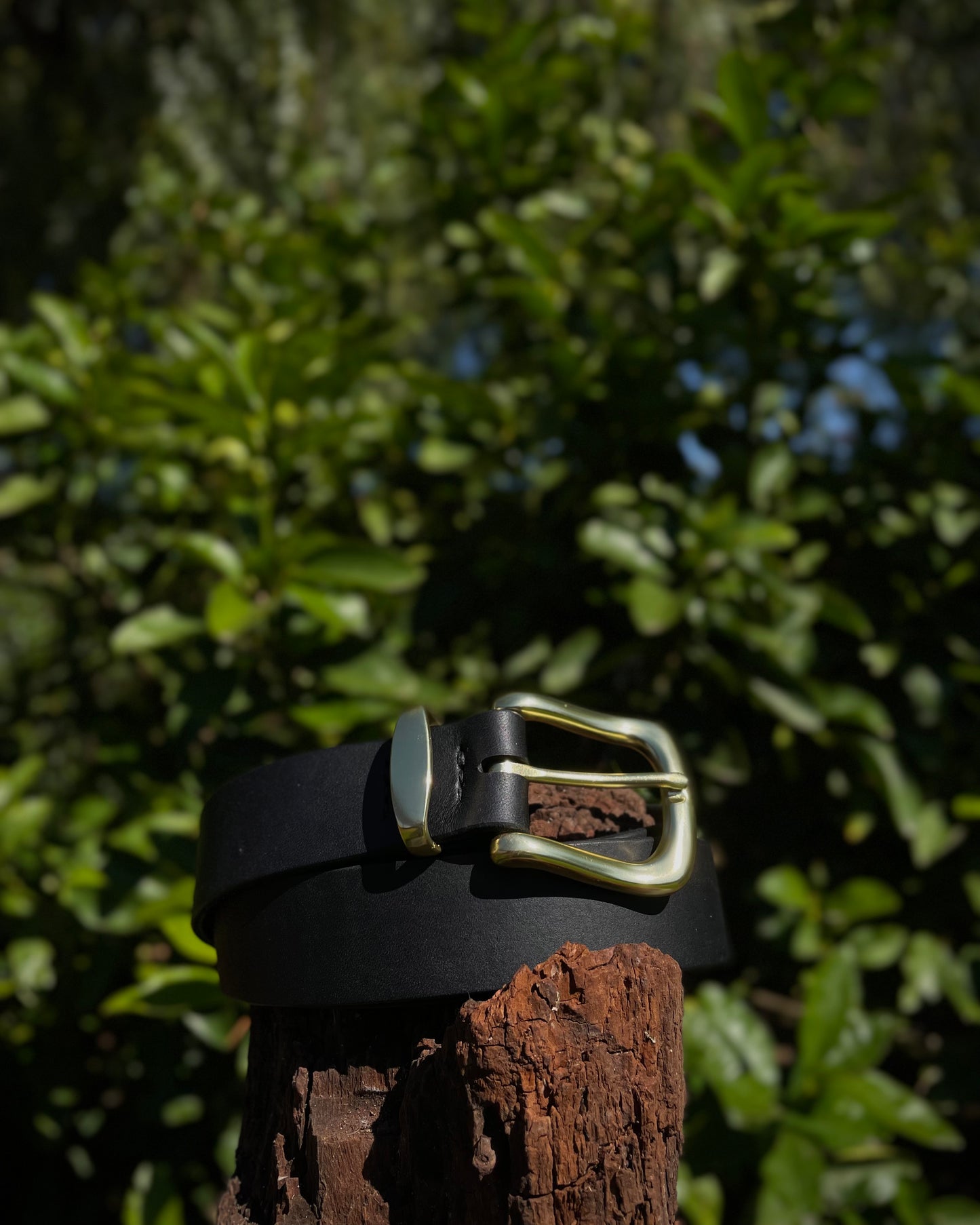 Black belt with brass buckle on a wooden post against a green leafy background
