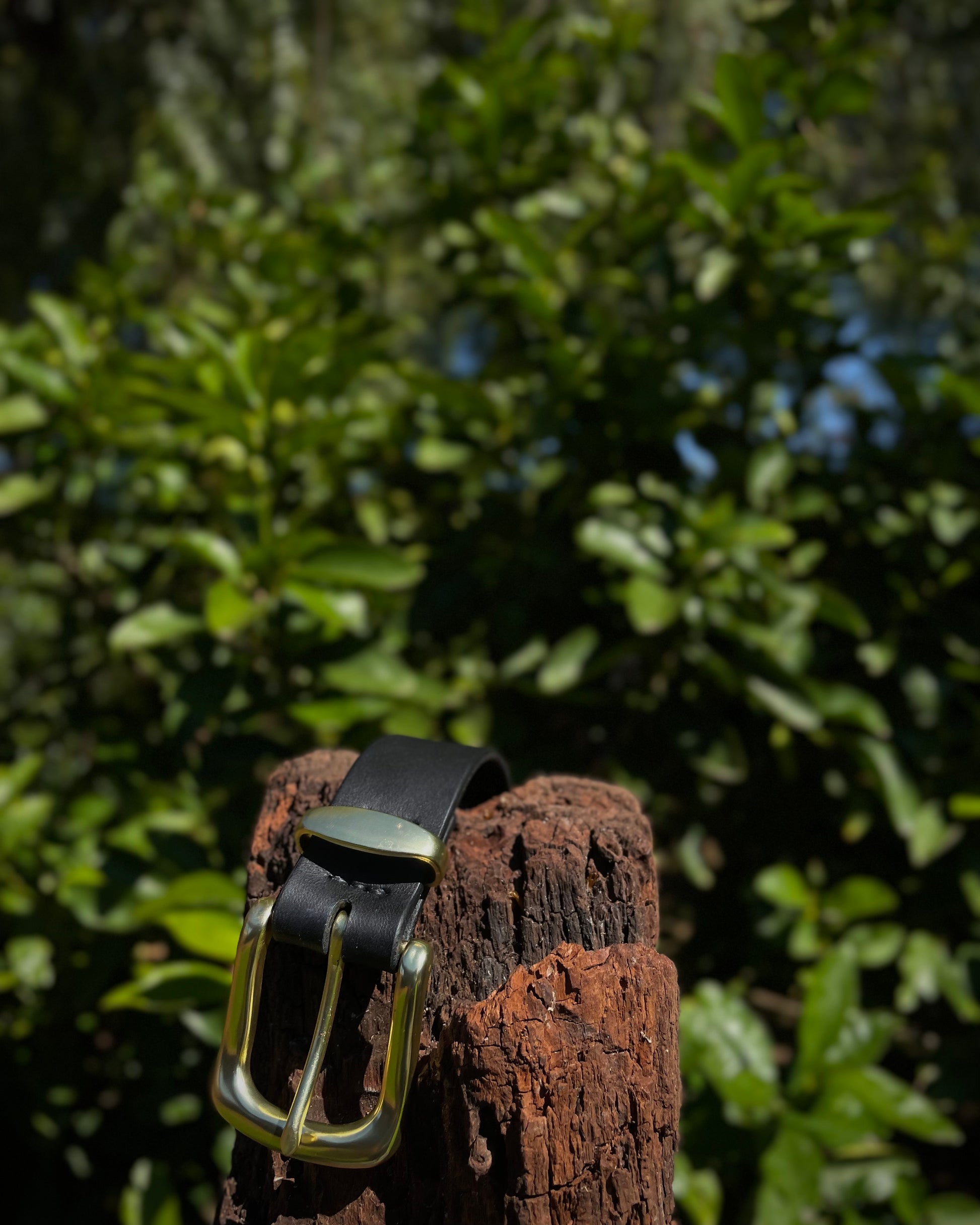 Black leather belt with a gold buckle on a wooden post against a green leafy background