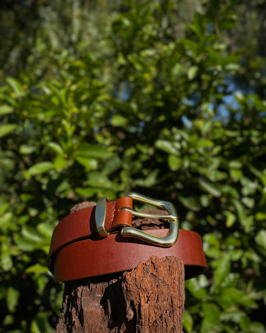 Brown leather belt with brass buckle on a wooden post against a blurred green foliage background