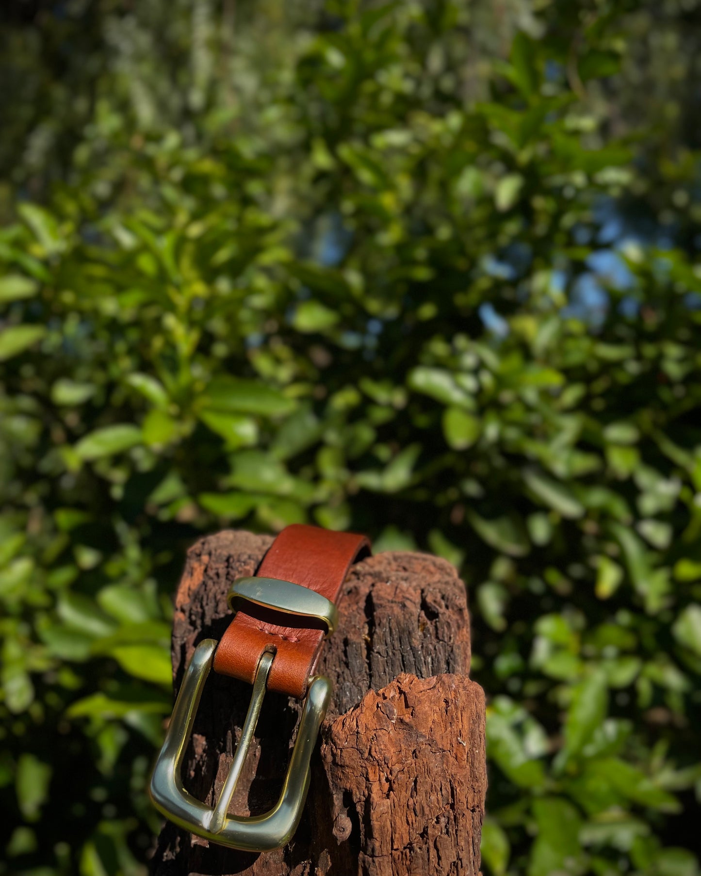 Brown leather belt with silver buckle on a wooden post against a green leafy background