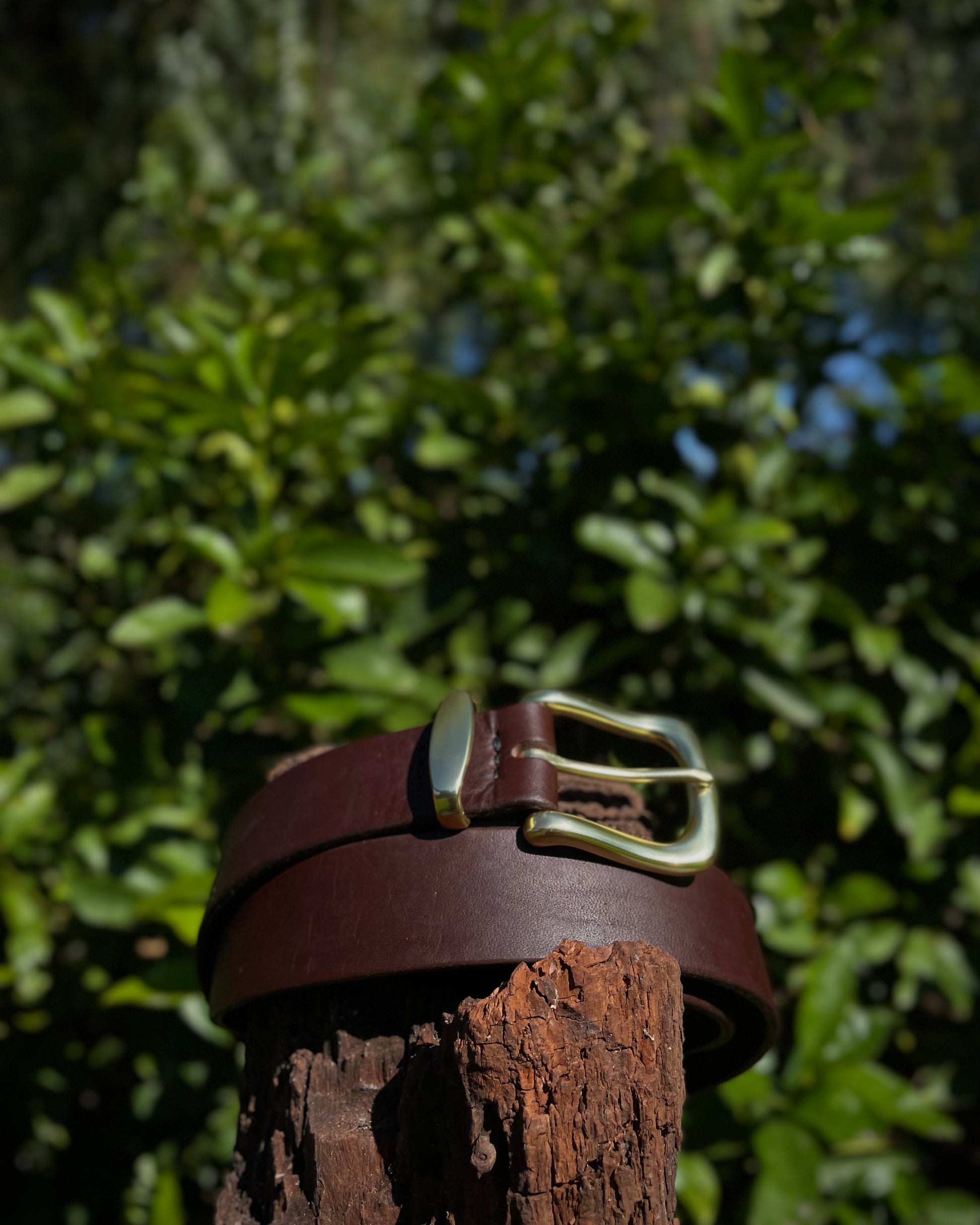 Brown leather belt with brass buckle on a wooden post against a green leafy background