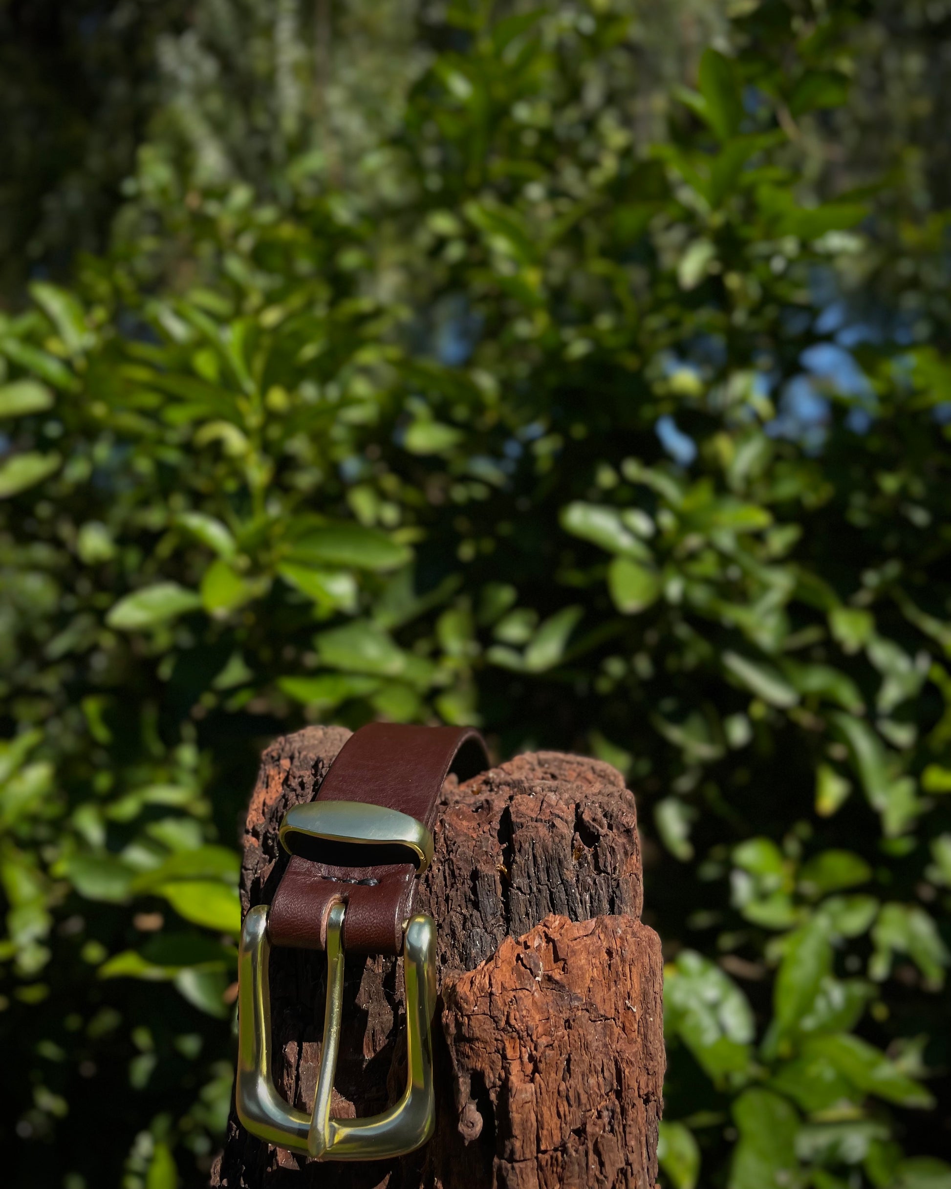 Brown leather belt with brass buckle on a wooden post against a green leafy background