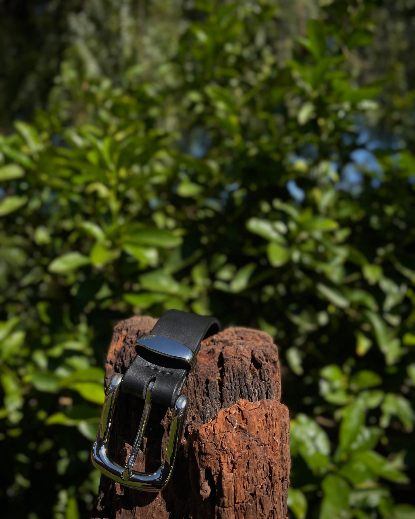 Black belt with silver buckle on a wooden post against a green leafy background
