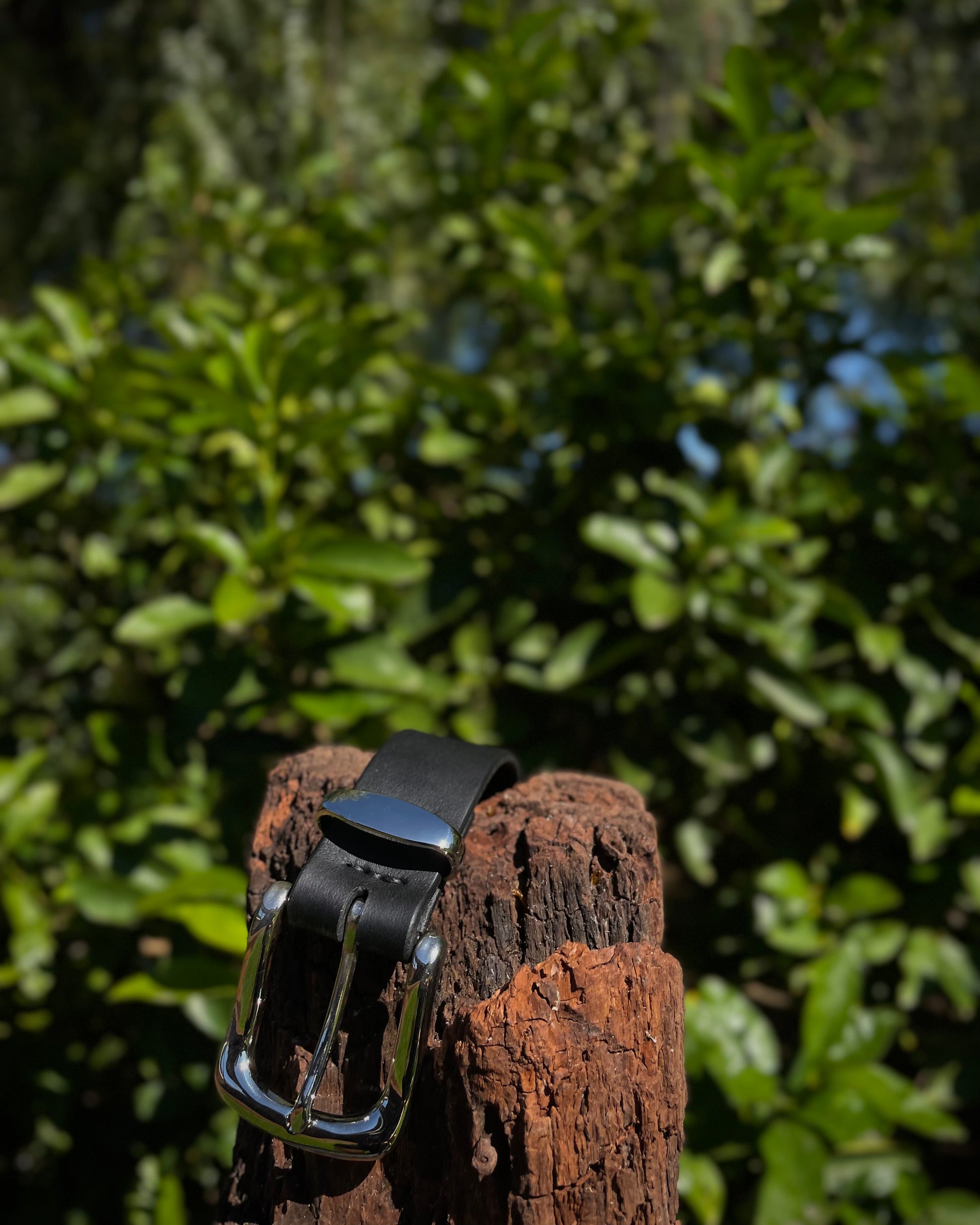 Black belt with silver buckle on a wooden post against a green leafy background