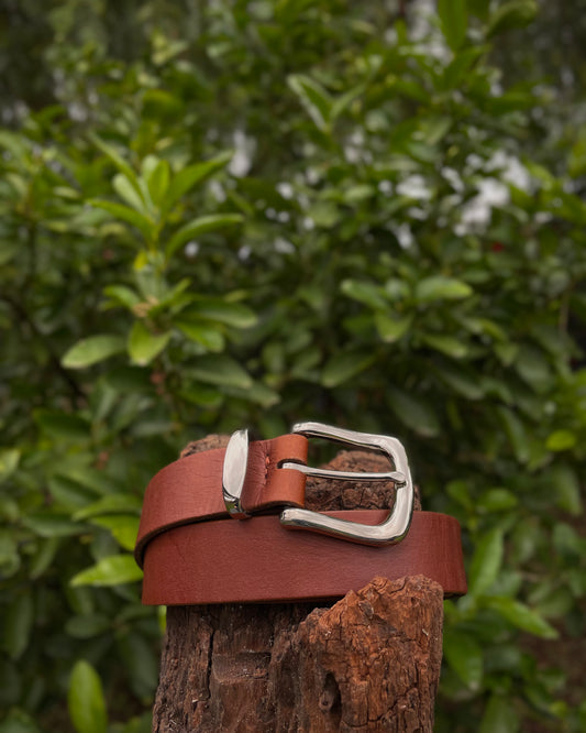 Brown leather belt with silver buckle on a wooden post against a green leafy background
