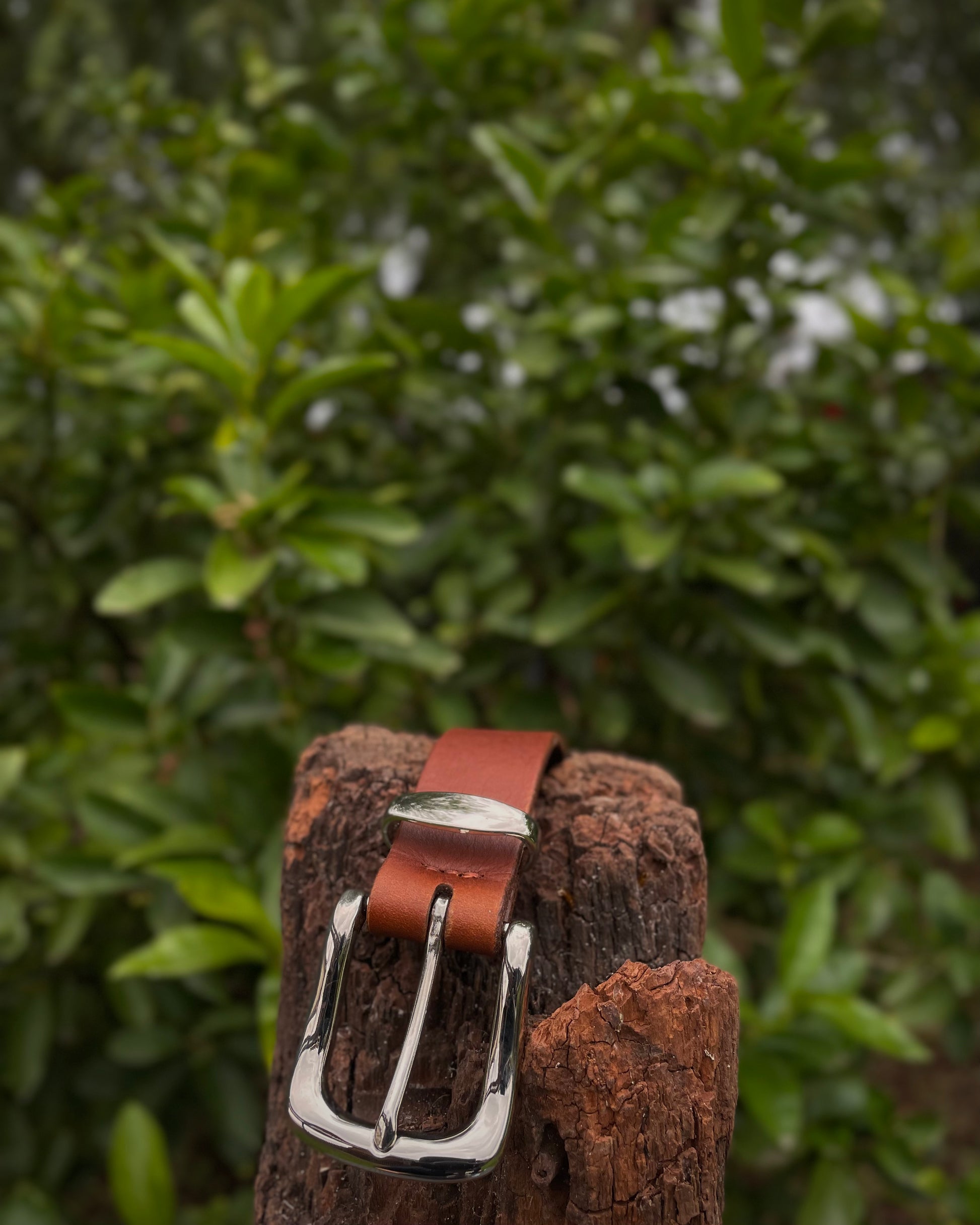 Brown leather belt with silver buckle on a wooden block against a green leafy background