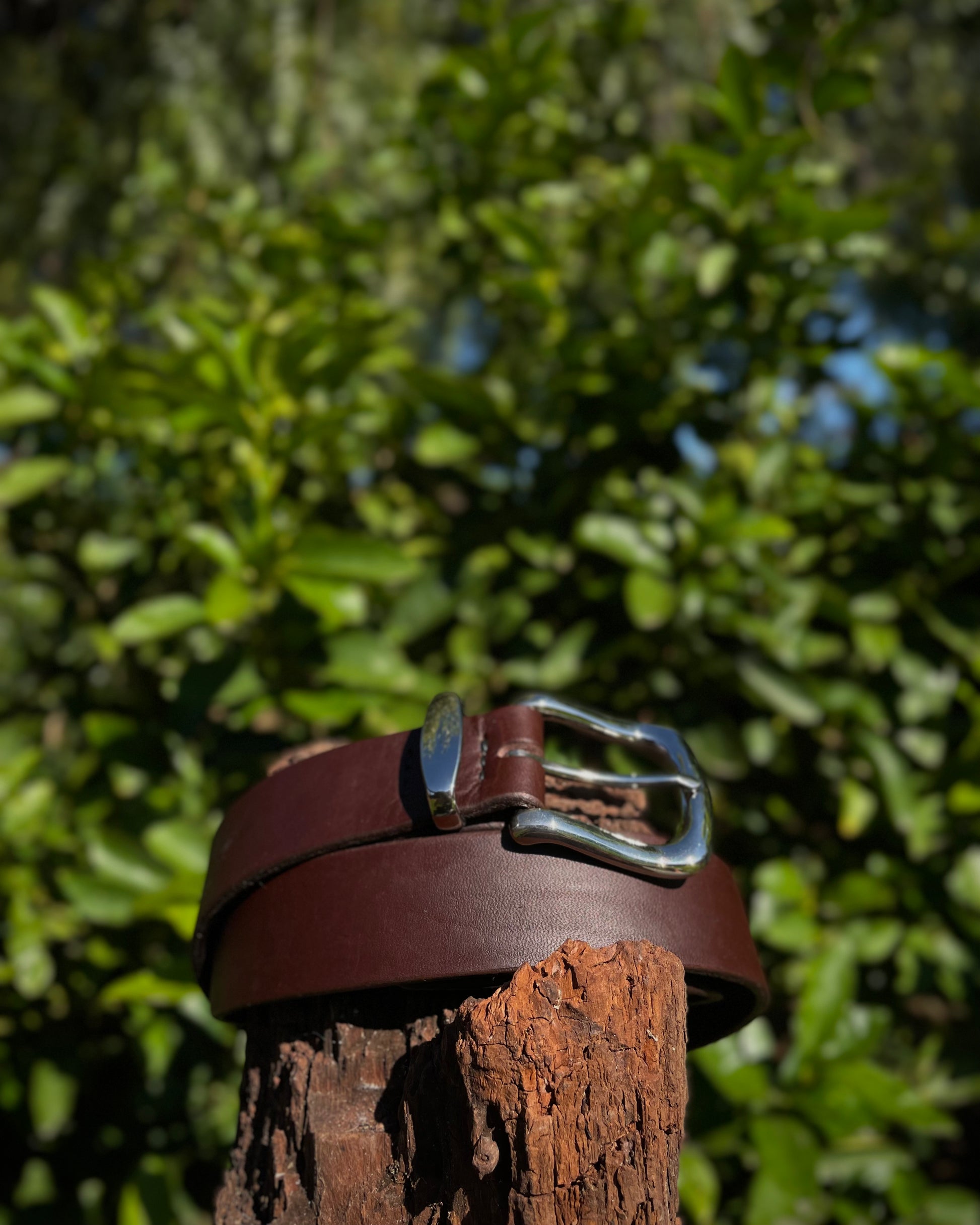 Brown leather belt with a silver buckle on a wooden post against a blurred green foliage background