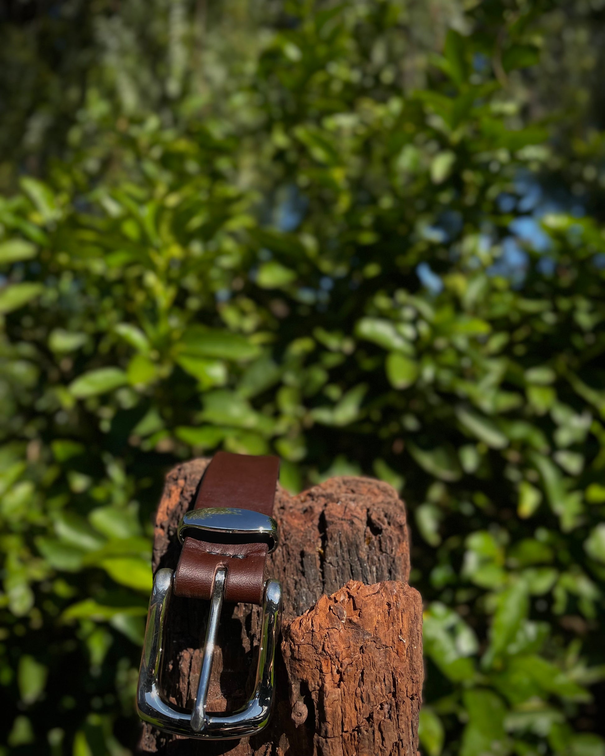 Brown leather belt with silver buckle on a wooden post against a green leafy background
