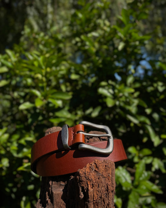 Brown leather belt with silver buckle on a wooden post against a green leafy background