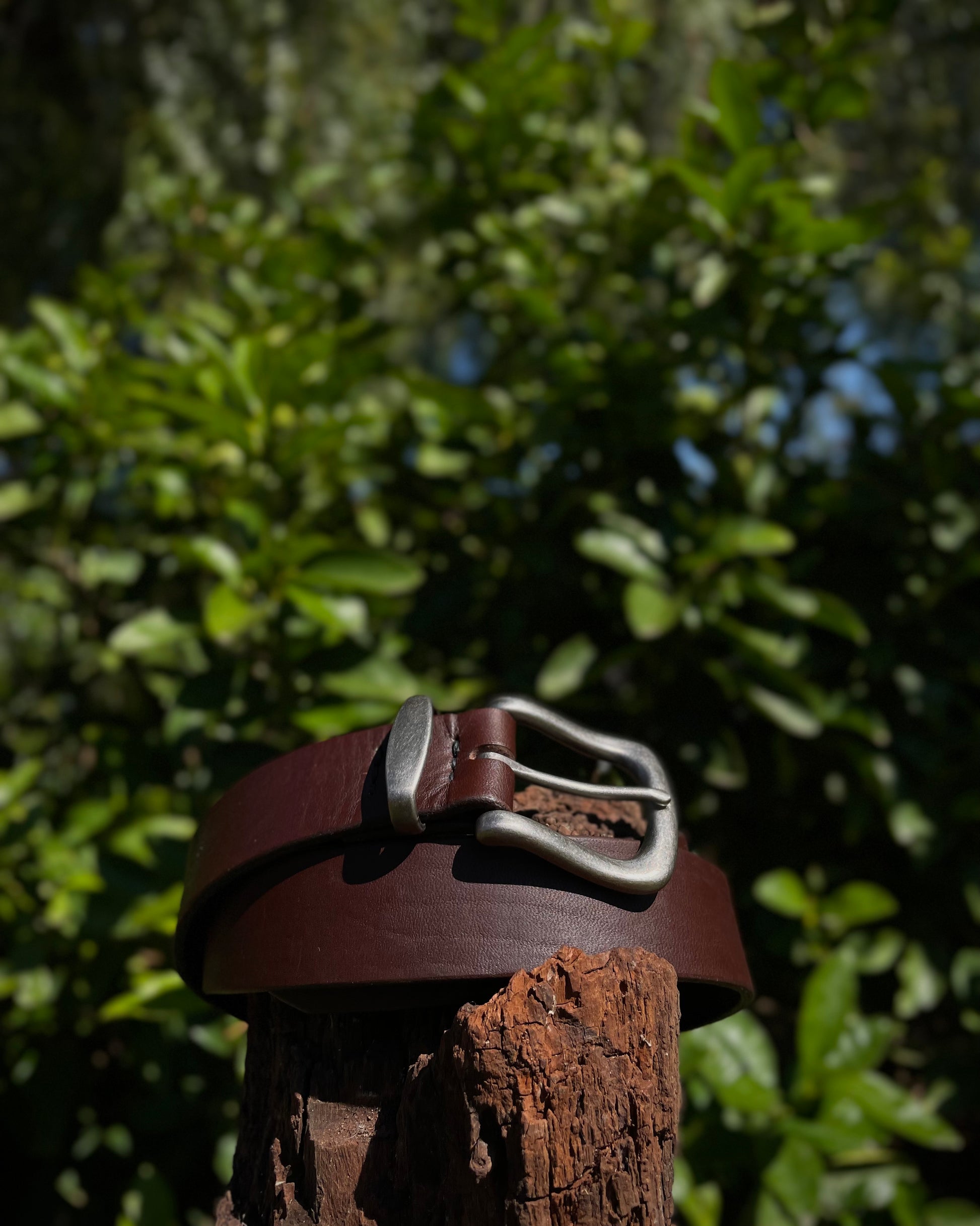 Brown leather belt with silver buckle on a wooden post against a blurred green foliage background