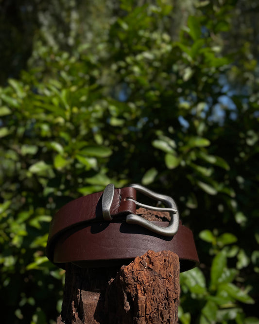 Brown leather belt with silver buckle on a wooden post against a blurred green foliage background