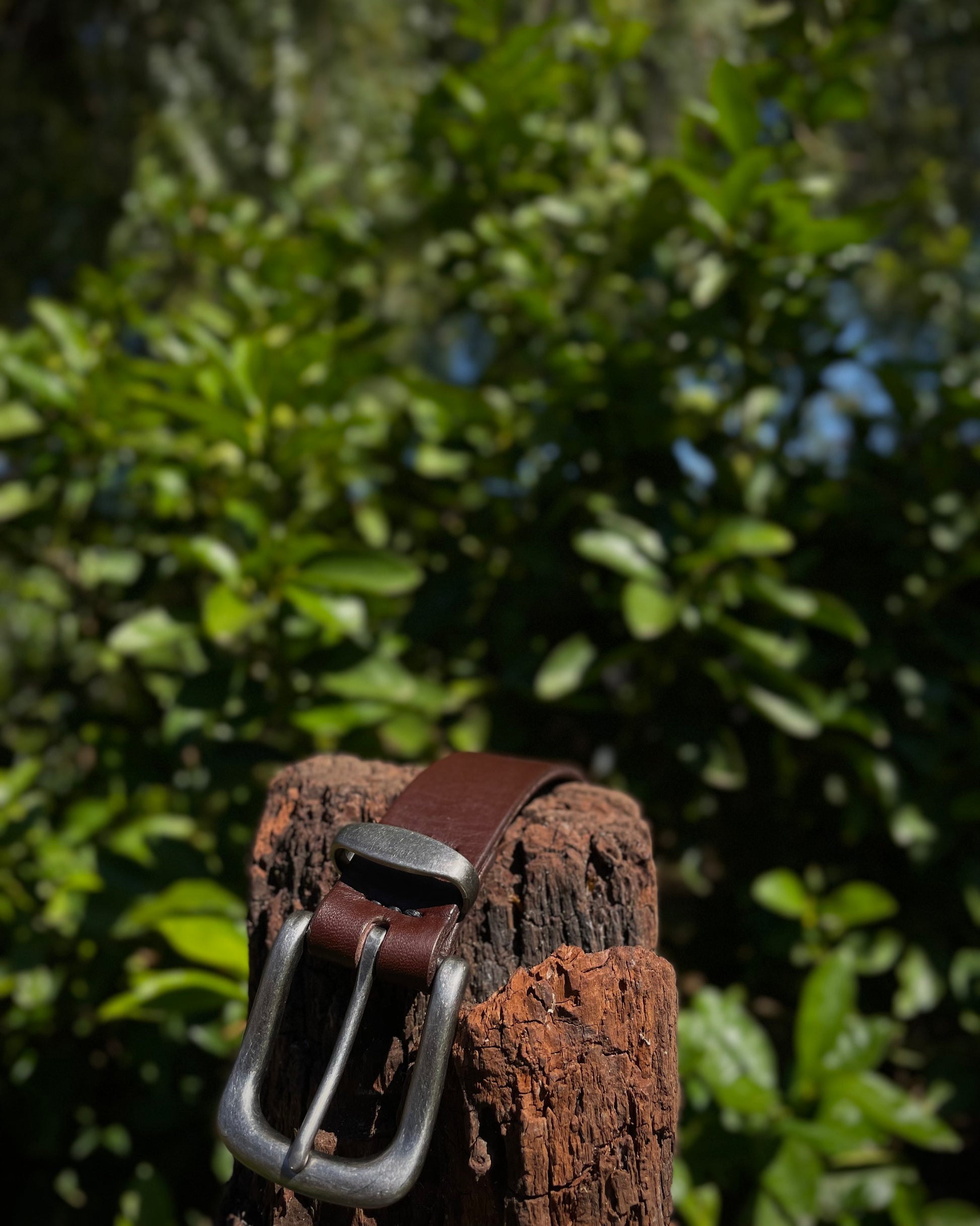 Brown leather belt with silver buckle on a wooden post against a green leafy background