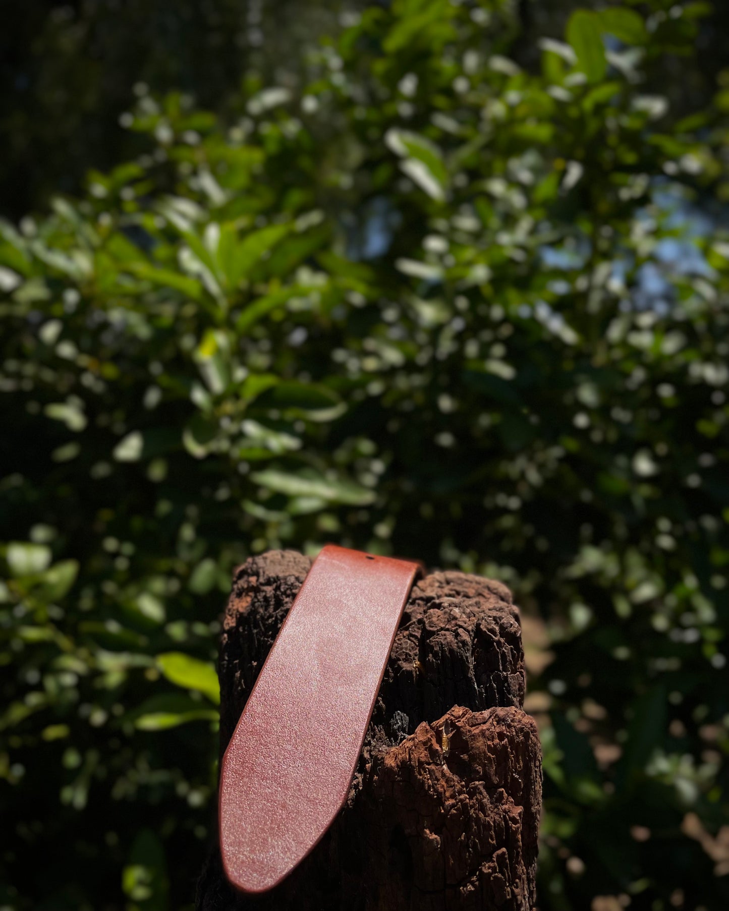 Brown leather bracelet on a wooden stump with green foliage in the background