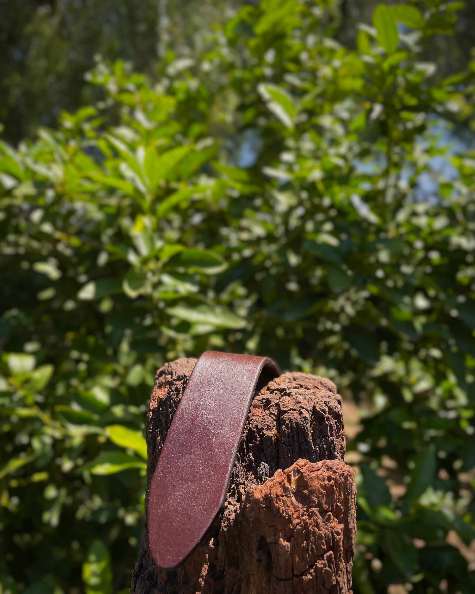 Brown leather belt on a wooden log with green foliage in the background