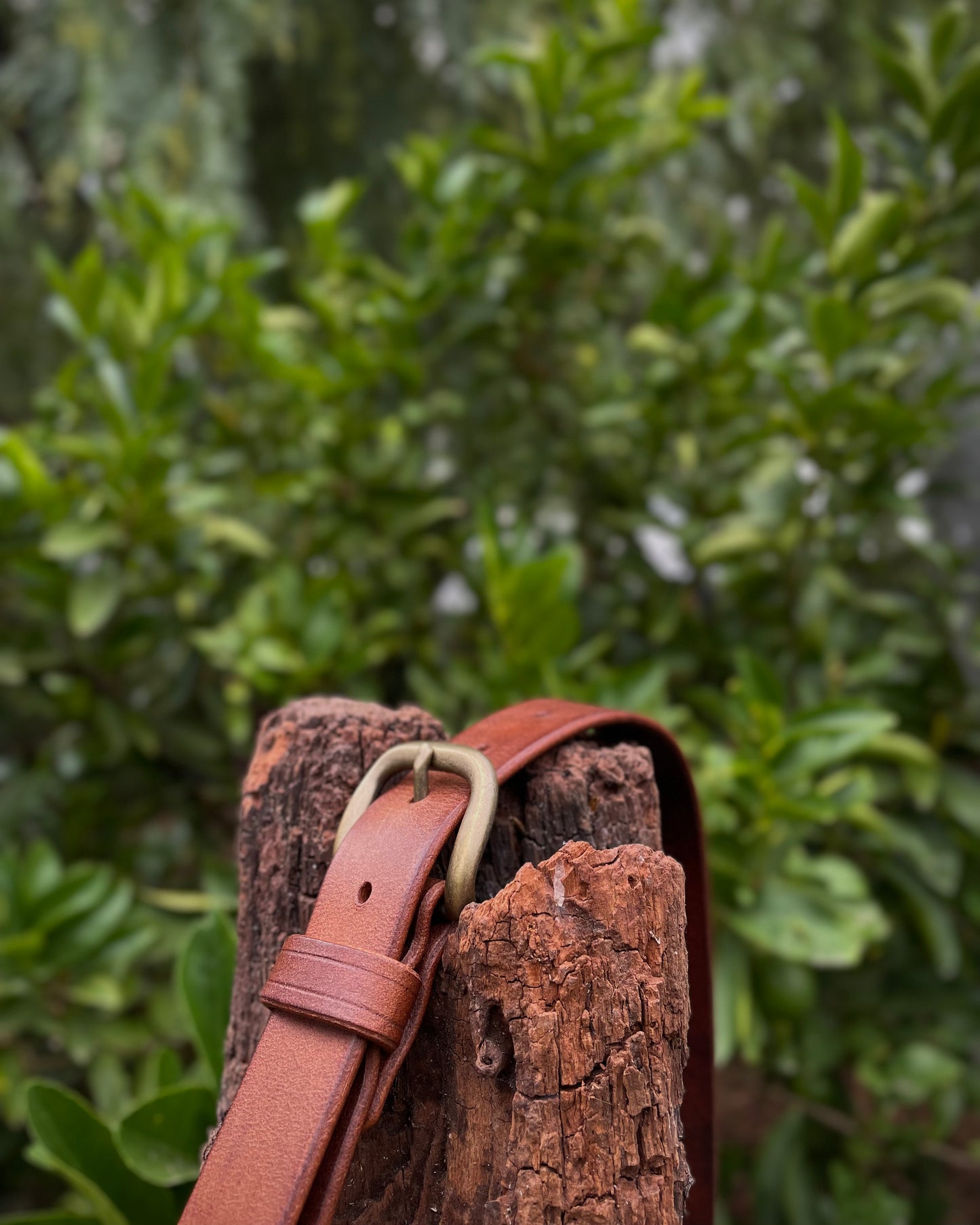 Brown leather suspenders with a green buckle on a wooden post against a blurred green foliage background