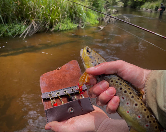 Person holding a brown trout and leather fishing equipment near a river.